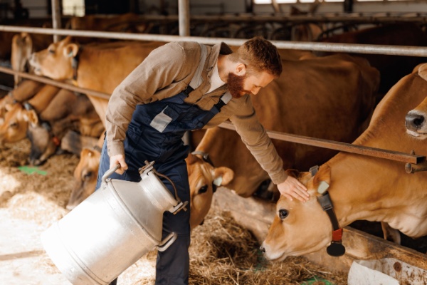 Lire la suite à propos de l’article Nouvelles mesures fiscales en faveur du secteur agricole : c’est déjà parti ?