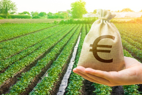Lire la suite à propos de l’article Taxe foncière sur les terres agricoles : une exonération déjà en hausse ?